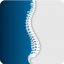 Basham Chiropractic